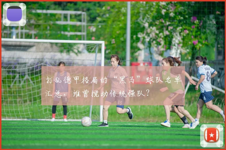 打乱德甲格局的“黑马”球队名单汇总，谁曾搅动传统强队？