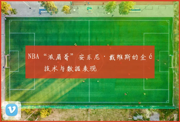 NBA“浓眉哥”安东尼·戴维斯的全面技术与数据表现