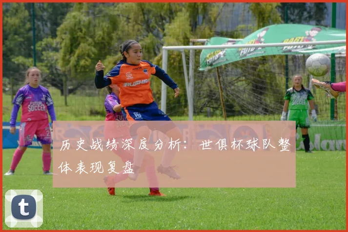 历史战绩深度分析：世俱杯球队整体表现复盘