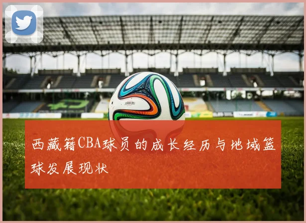 西藏籍CBA球员的成长经历与地域篮球发展现状