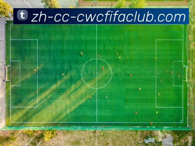 辅助工具 辅助工具