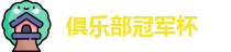 2025足球世俱杯官网